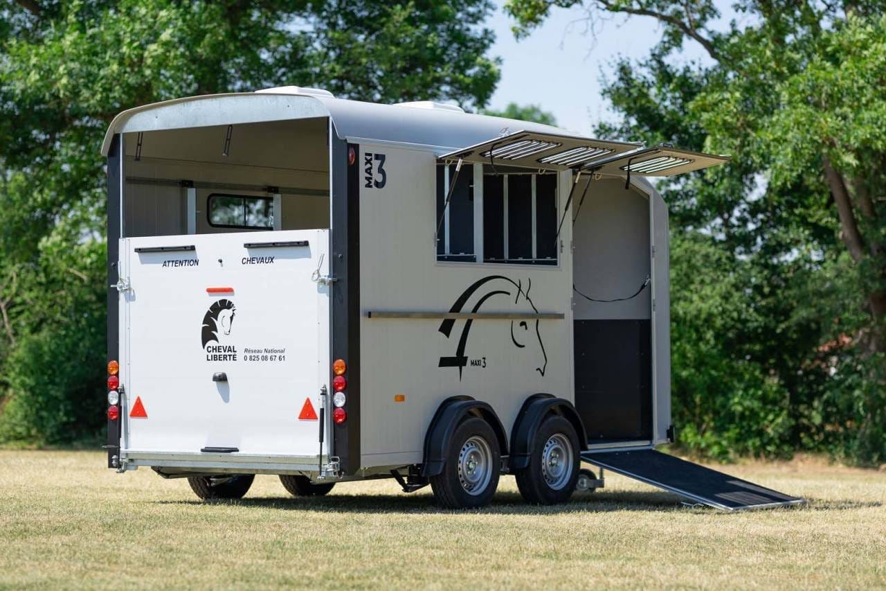 Van Minimax – Maxi 3